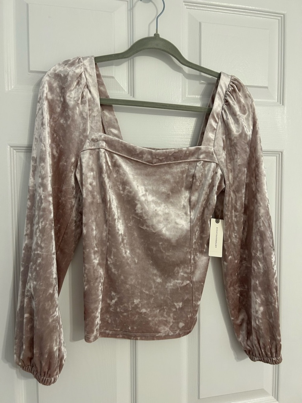 Anthropologie Neutral Crushed Velvet Square-Neck Blouse
